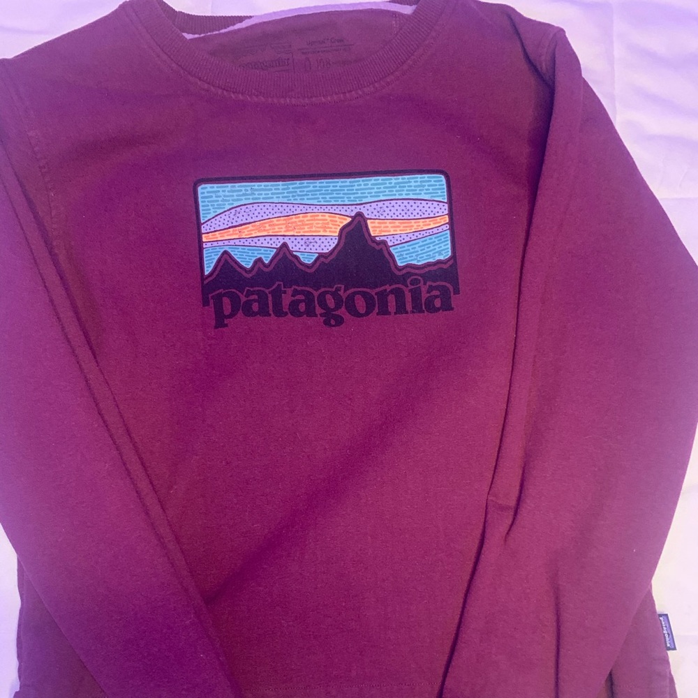 Patagonia crewneck